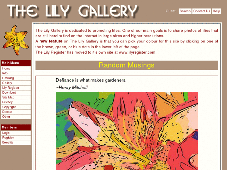 www.lily-gallery.com