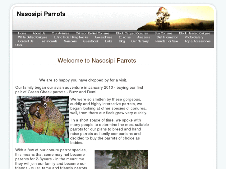 www.nasosipiparrots.com