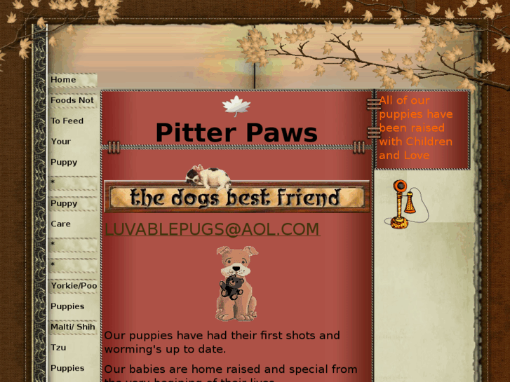 www.pitterpaws.org