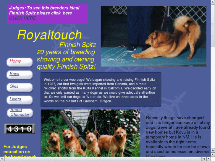 www.royaltouchfinnishspitz.com