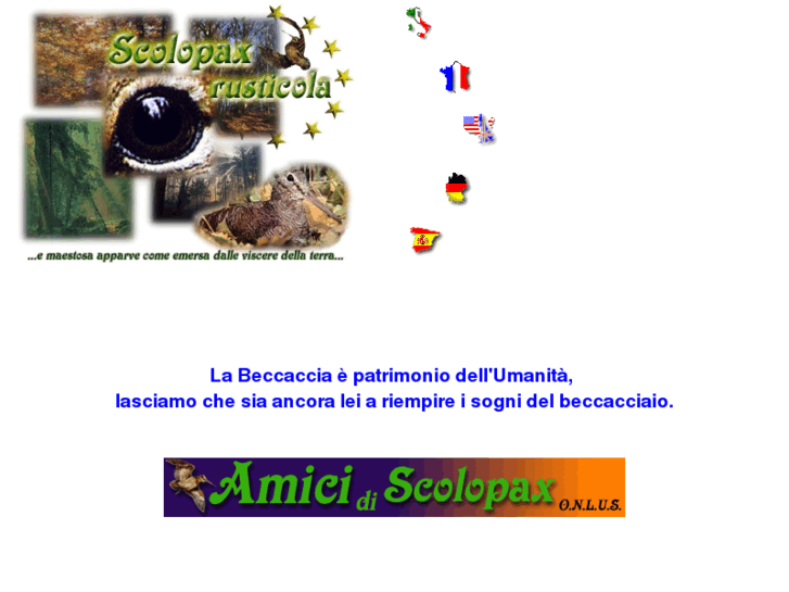 www.scolopaxrusticola.com