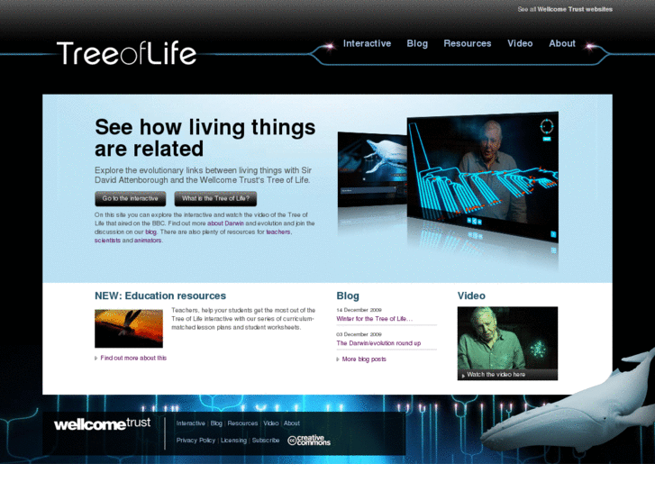 www.welcometreeoflife.com