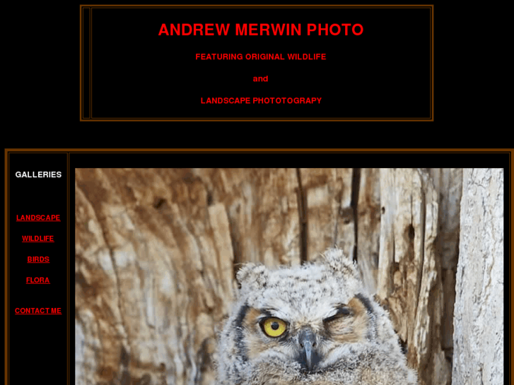 www.andrewmerwinphoto.com