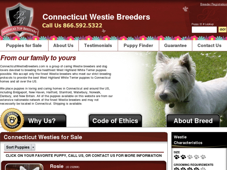 www.connecticutwestiebreeders.com