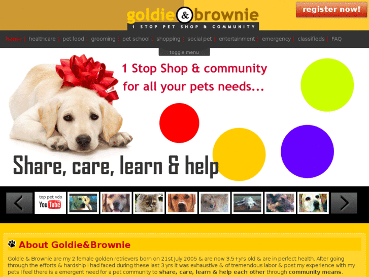 www.goldiebrownie.com