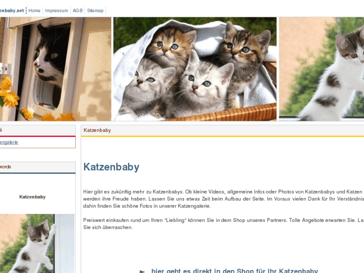 www.katzenbaby.net