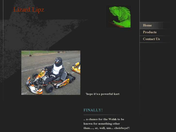 www.lizardlipz.com