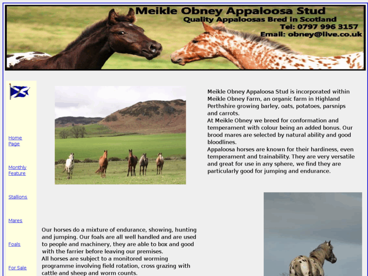 www.meikleobneystud.co.uk