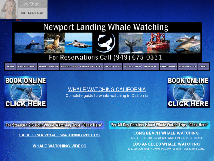 www.newportwhales.com