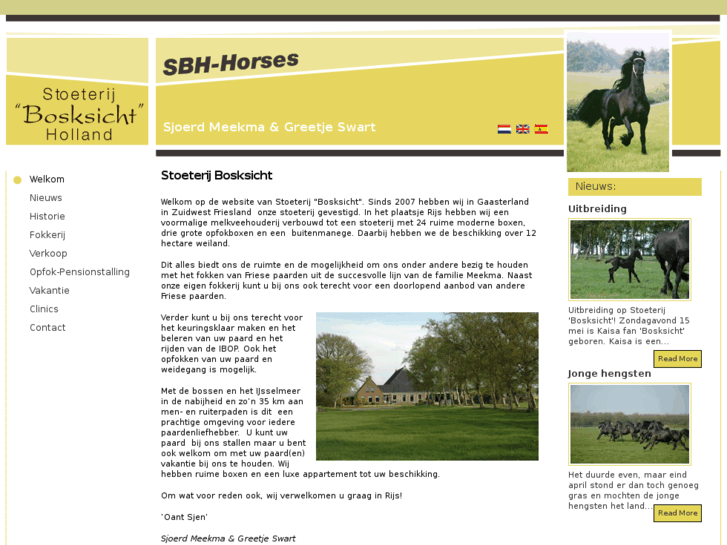 www.sb-horses.com