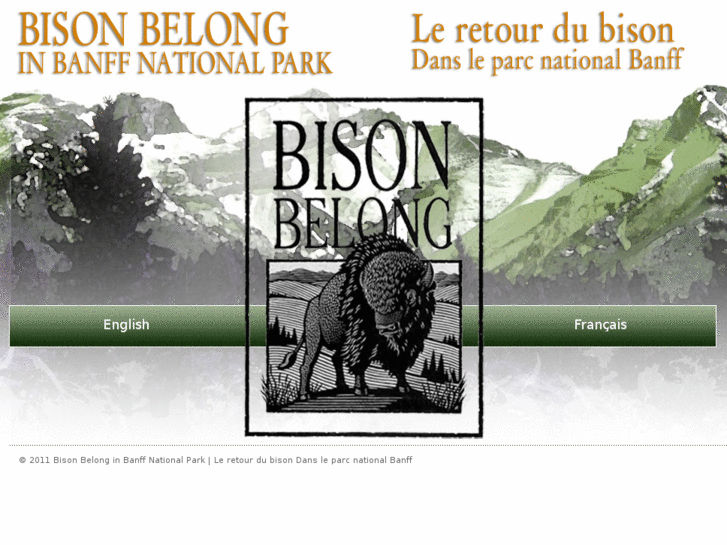 www.bisonbelong.com