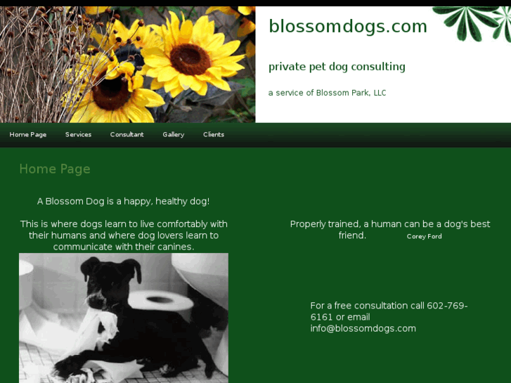 www.blossomdogs.com