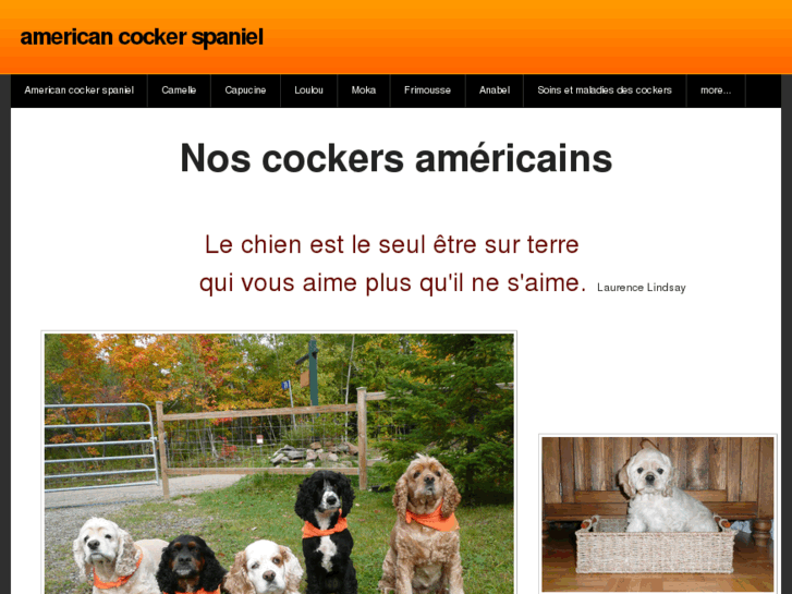 www.cockersspaniel.com