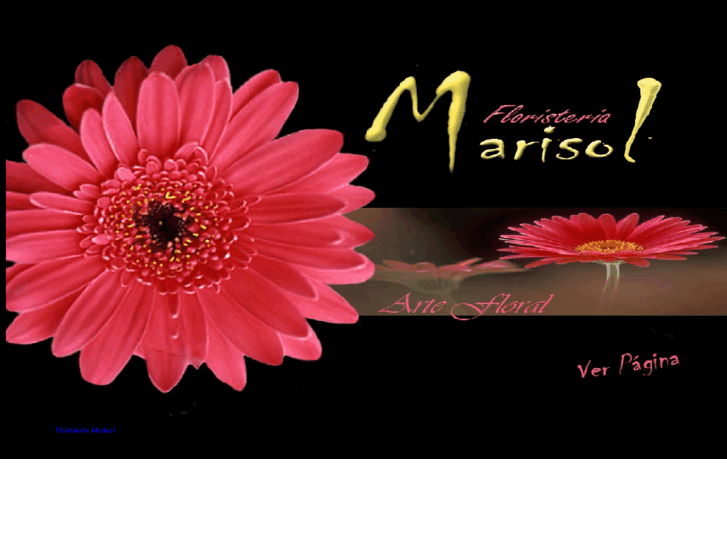 www.floristeriamarisol.com