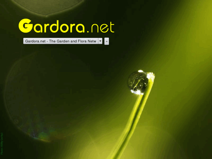 www.gadora.com