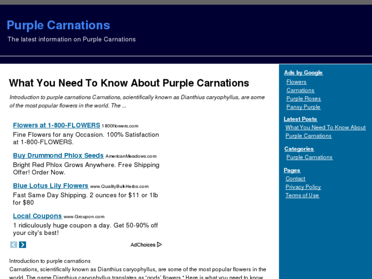 www.purplecarnations.org