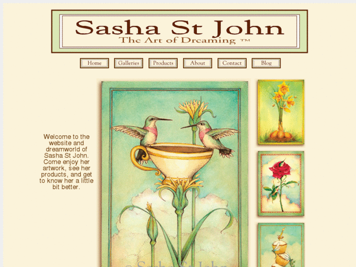 www.sashastjohn.com