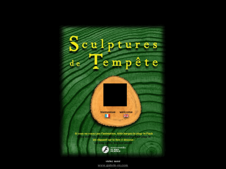 www.sculptures-de-tempete.com