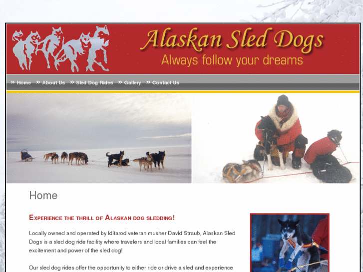 www.alaskansleddogs.com