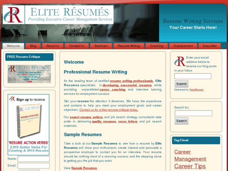 www.aneliteresume.com