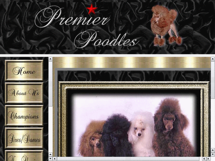 www.premierpoodles.com