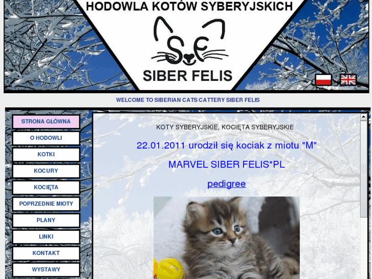 www.siberfelis.pl