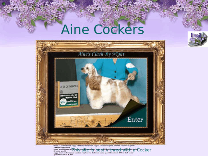 www.ainecockers.com