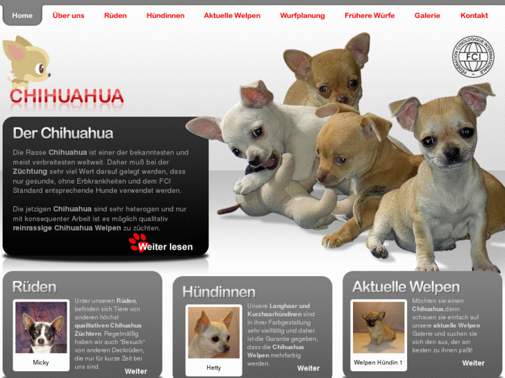 www.chihuahua-at.at