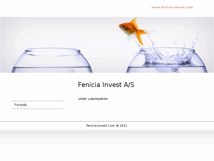 www.fenicia-invest.com