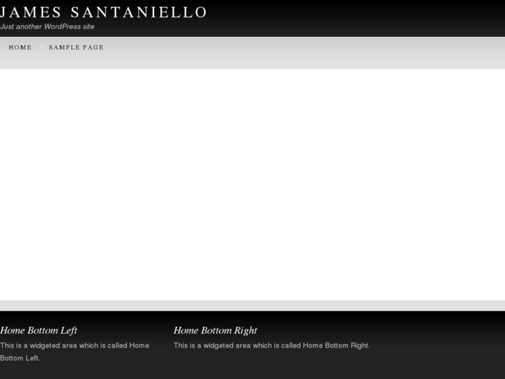 www.jamessantaniello.com