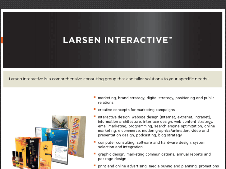 www.larson-interactive.com