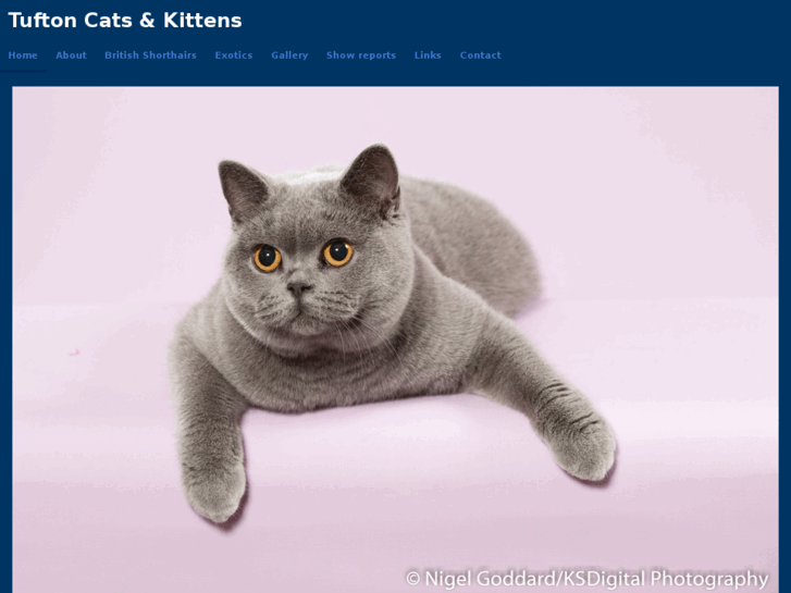 www.tuftoncatsandkittens.com