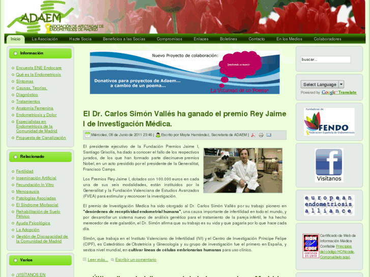 www.adaem.org.es