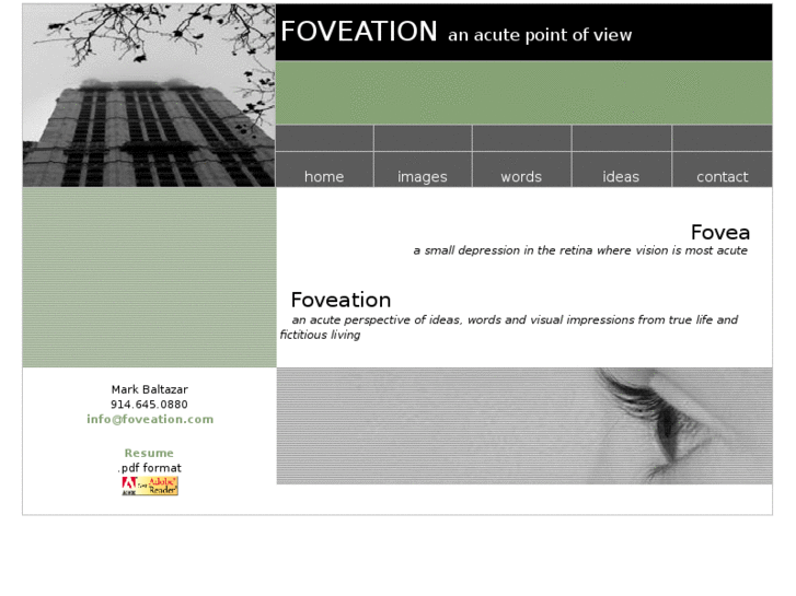 www.foveation.com