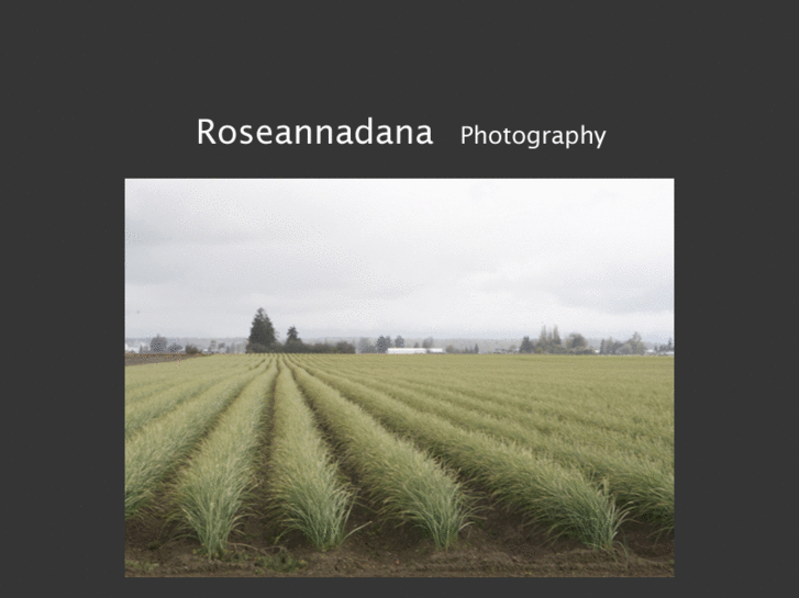 www.roseannadanaphotography.com