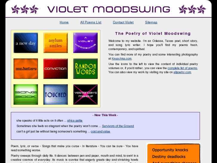 www.violetmoodswing.com