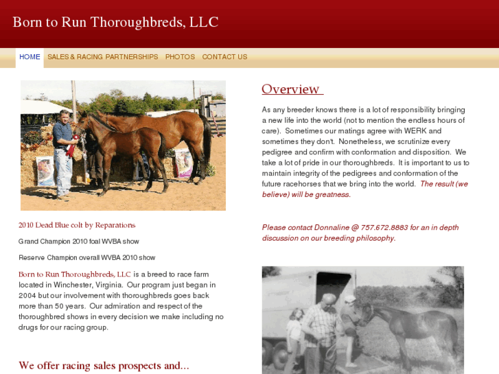 www.borntorunthoroughbreds.com