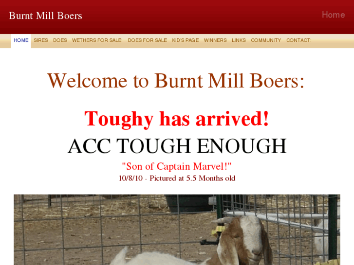 www.burntmillboers.com