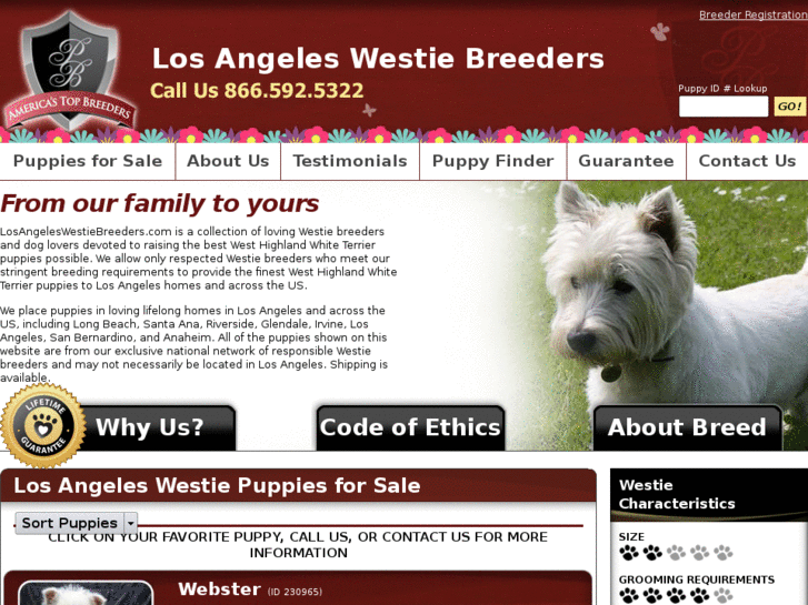 www.losangeleswestiebreeders.com