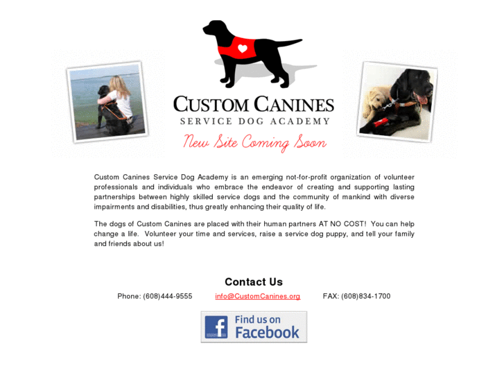 www.customcanines.net