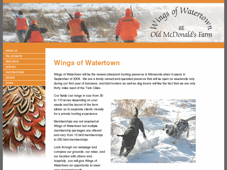 www.wingsofwatertown.com