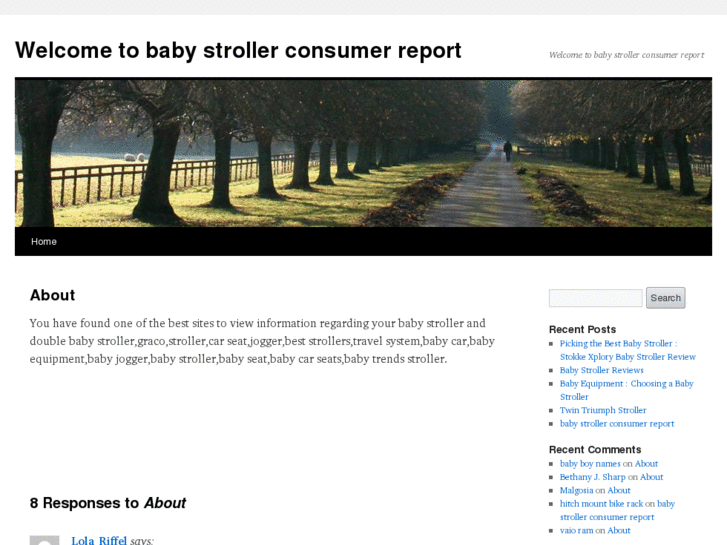 www.babystrollerconsumerreport.com