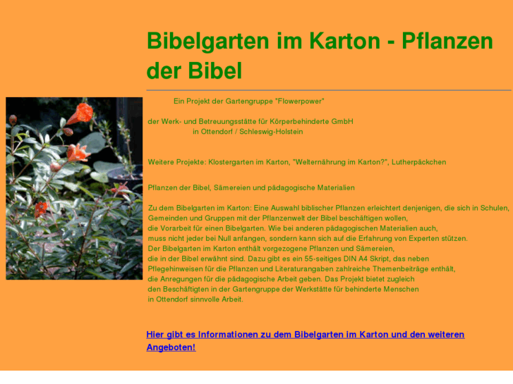 www.bibelgarten-im-karton.de