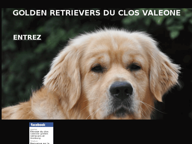 www.golden-retriever-fr.com