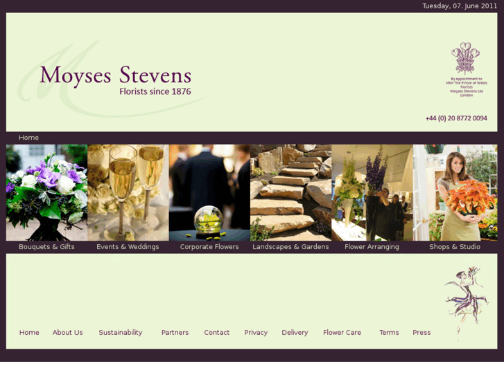 www.moysestevens.com