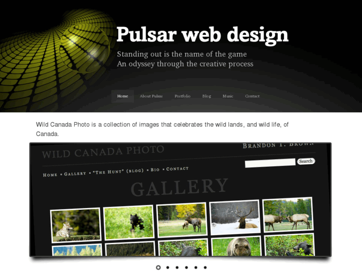 www.pulsarwebdesign.com