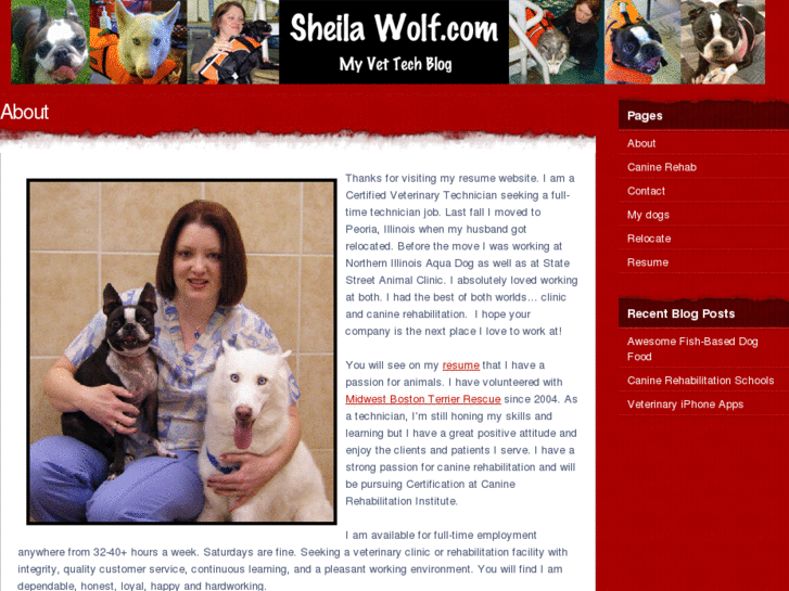 www.sheilawolf.com