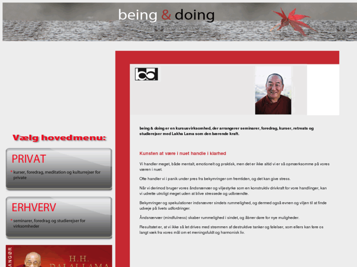 www.beingdoing.dk