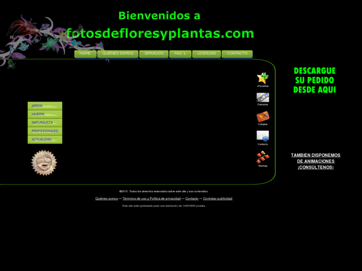 www.fotosdefloresyplantas.com