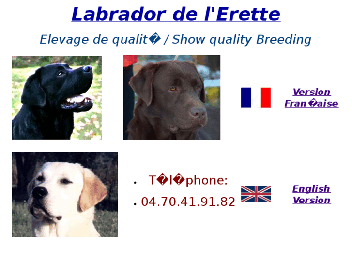 www.labrador-erette.com